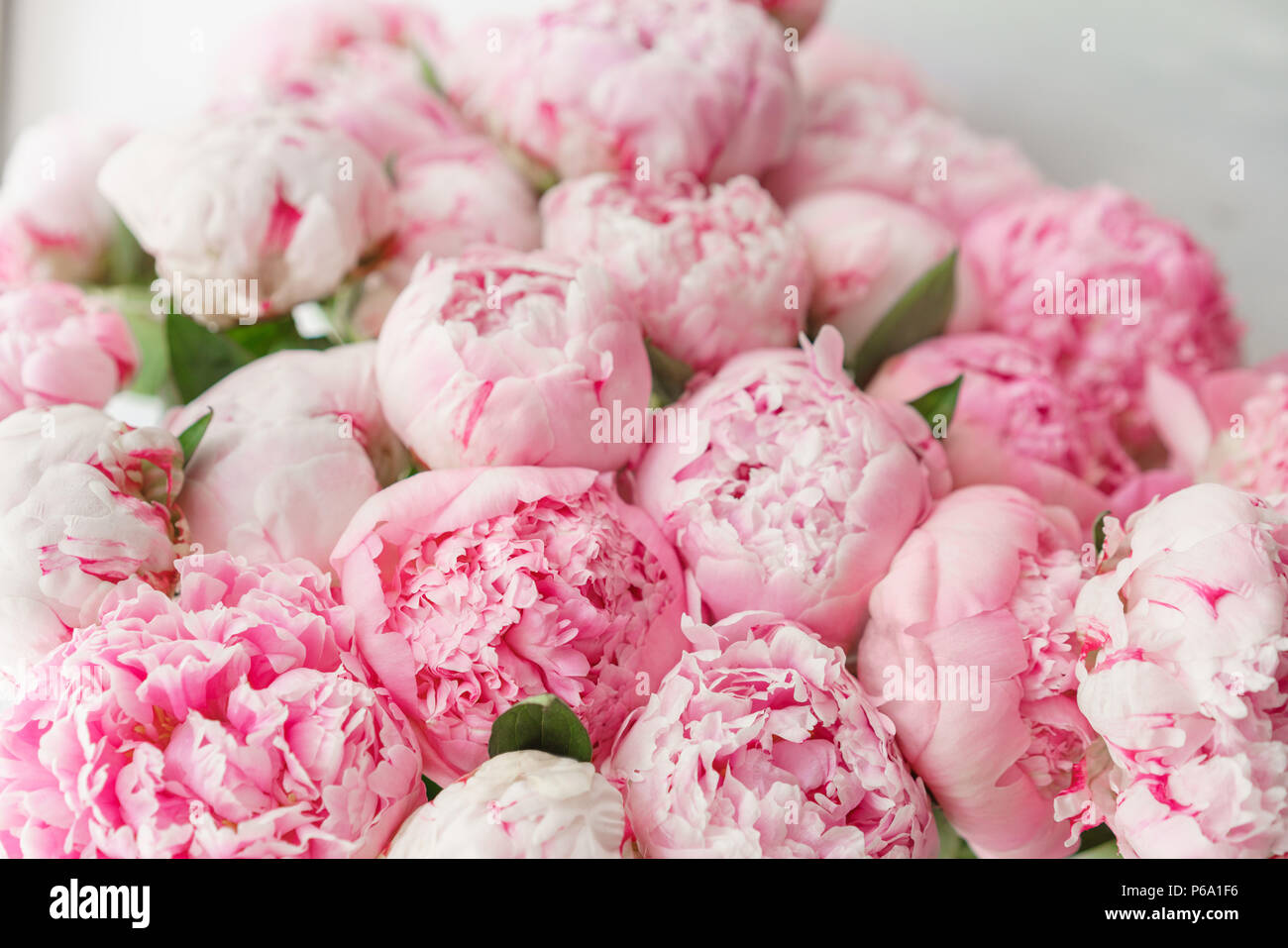 Beautiful Bouquet Of Pink Peonies Floral Composition