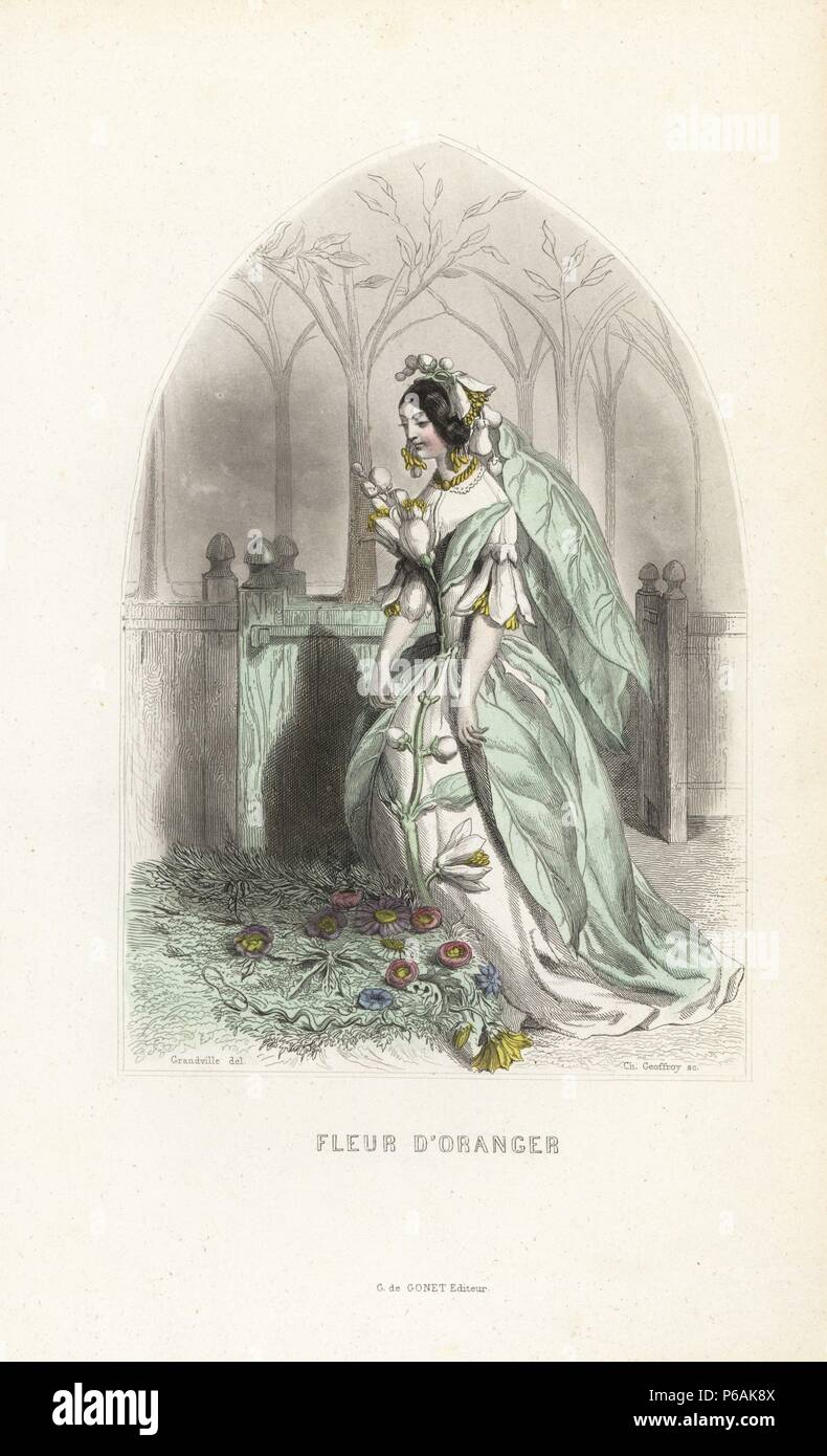 Orange flower fairy, Citrus aurantium, with flower headdress and veil and dress of leaves. Handcoloured steel engraving by C. Geoffrois after an illustration by Jean Ignace Isidore Grandville from 'Les Fleurs Animees,' Paris, Gabriel de Gonet, 1847. Stock Photo