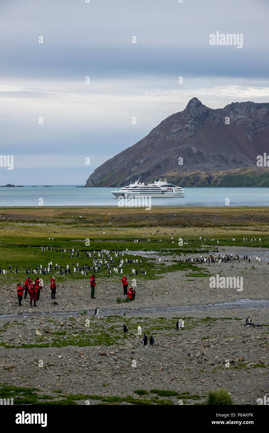 Expedition cruise ship passengers and King Penguins in front of  Le Lyrial at Fortuna Bay, South Georgia Island Stock Photo