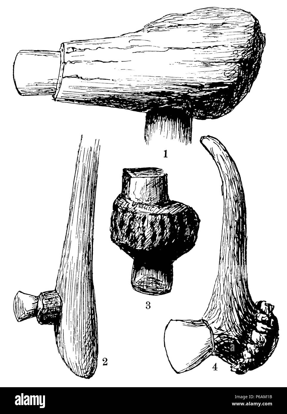 Stone axes from Swiss stilt houses with staghorn socket. 1 Steinbeil in a piece of staghorn, the drill hole picks up the shaft. 2-4 stone axes in staghorn socket,   1902 Stock Photo