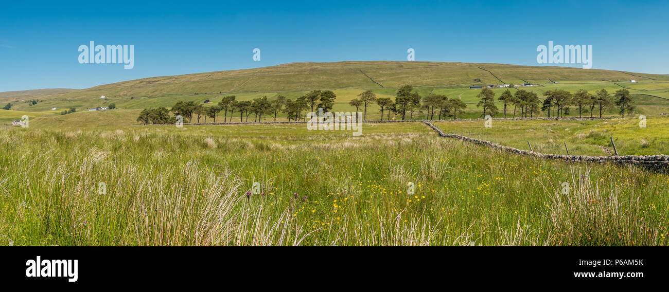 North Pennines AONB Panoramic Landscape, north east over Harwood, Upper Teesdale Stock Photo