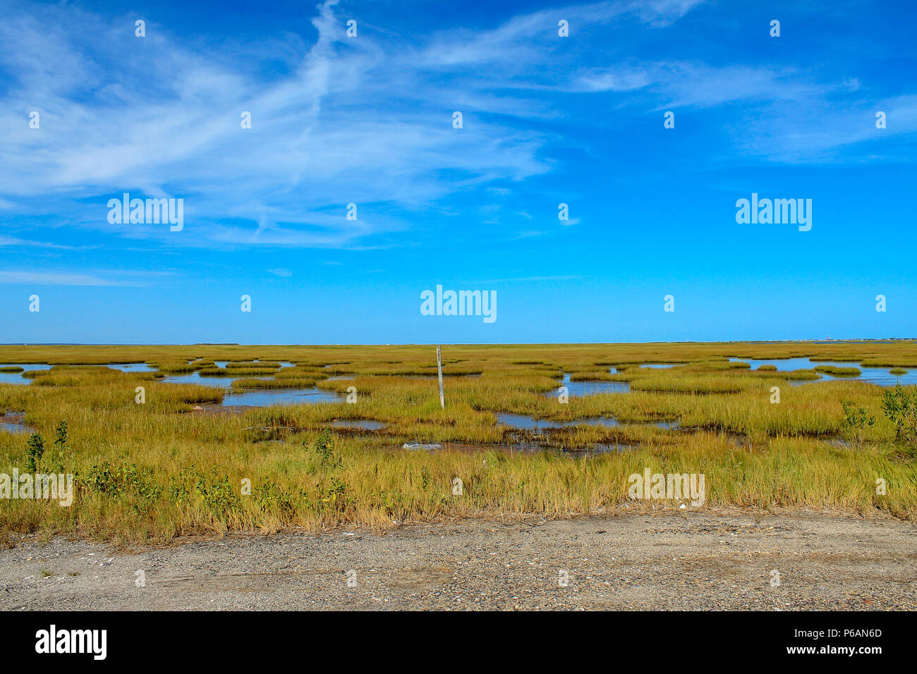 A bright blue sky overhead of the salt marsh that Great Bay Boulevard ...