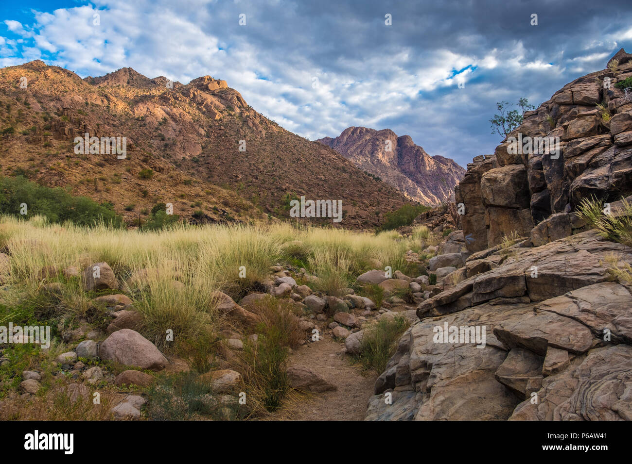 Hiking in the Brandberg massif to see bushmen rock paintings.  Damaraland (Erongo), Namib Desert, Namibia Stock Photo