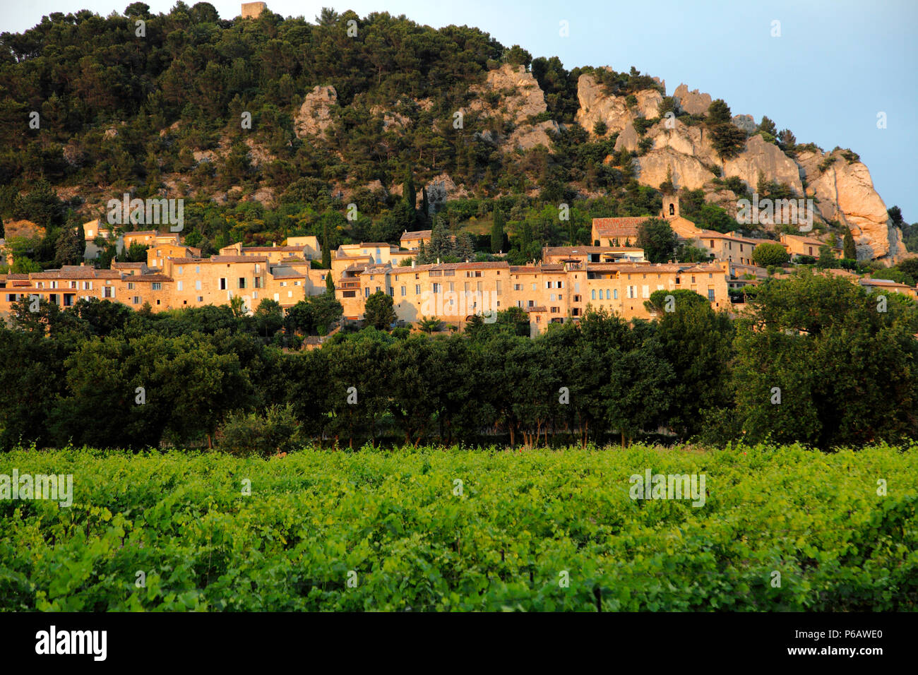 France, Provence Alpes Cote d'Azur, department of Vaucluse (84), Seguret (Most beautiful villages of France) Stock Photo