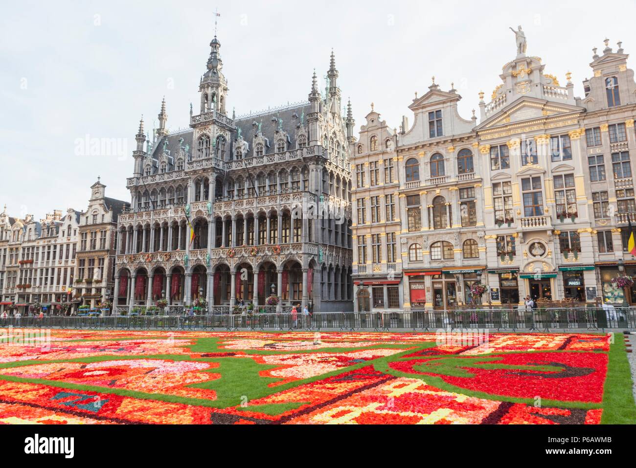 Belgium,Brussels,Grand Place,Flower Carpet Festival Stock Photo