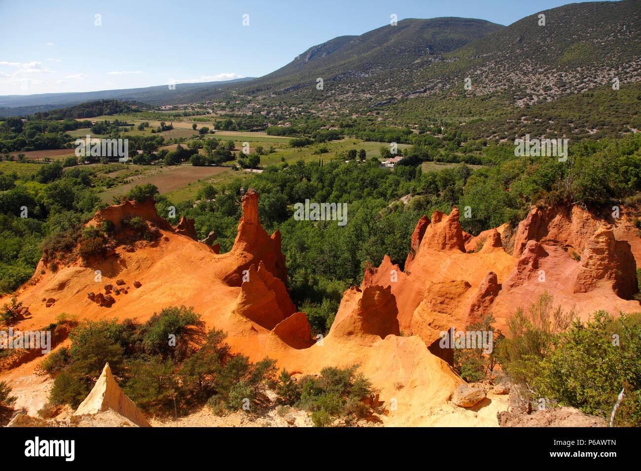 Agent Orange Forest Hi Res Stock Photography And Images Alamy Agent Orange Forest Hi Res Stock Photography And Images Alamy