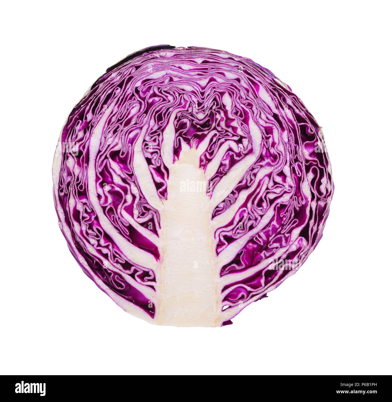 Fresh  red cabbage isolated on white background. Half part top view. Stock Photo