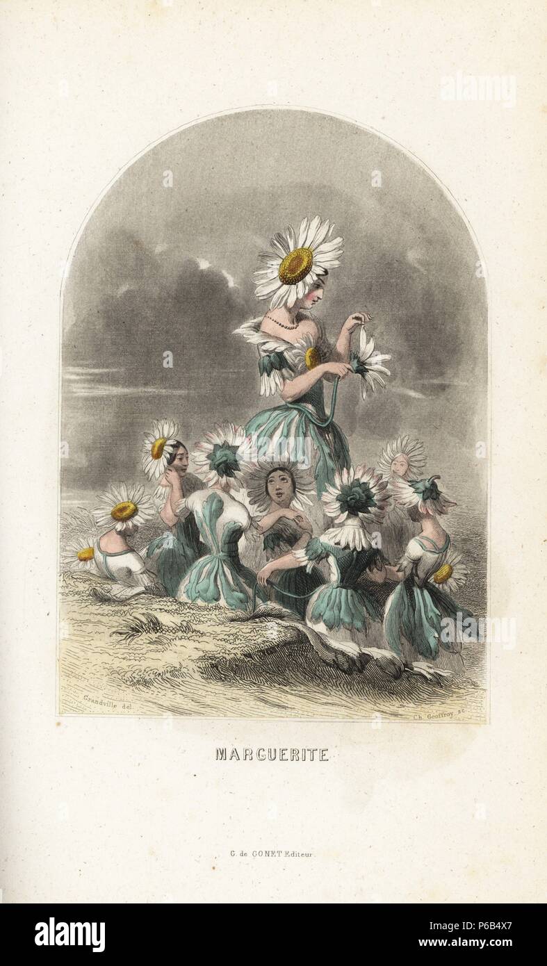 Oxeye daisy flower fairies wearing flower hats, plucking petals from flowers. Leucanthemum vulgare. Handcoloured steel engraving by C. Geoffrois after an illustration by Jean Ignace Isidore Grandville from 'Les Fleurs Animees,' Paris, Gabriel de Gonet, 1847. Stock Photo
