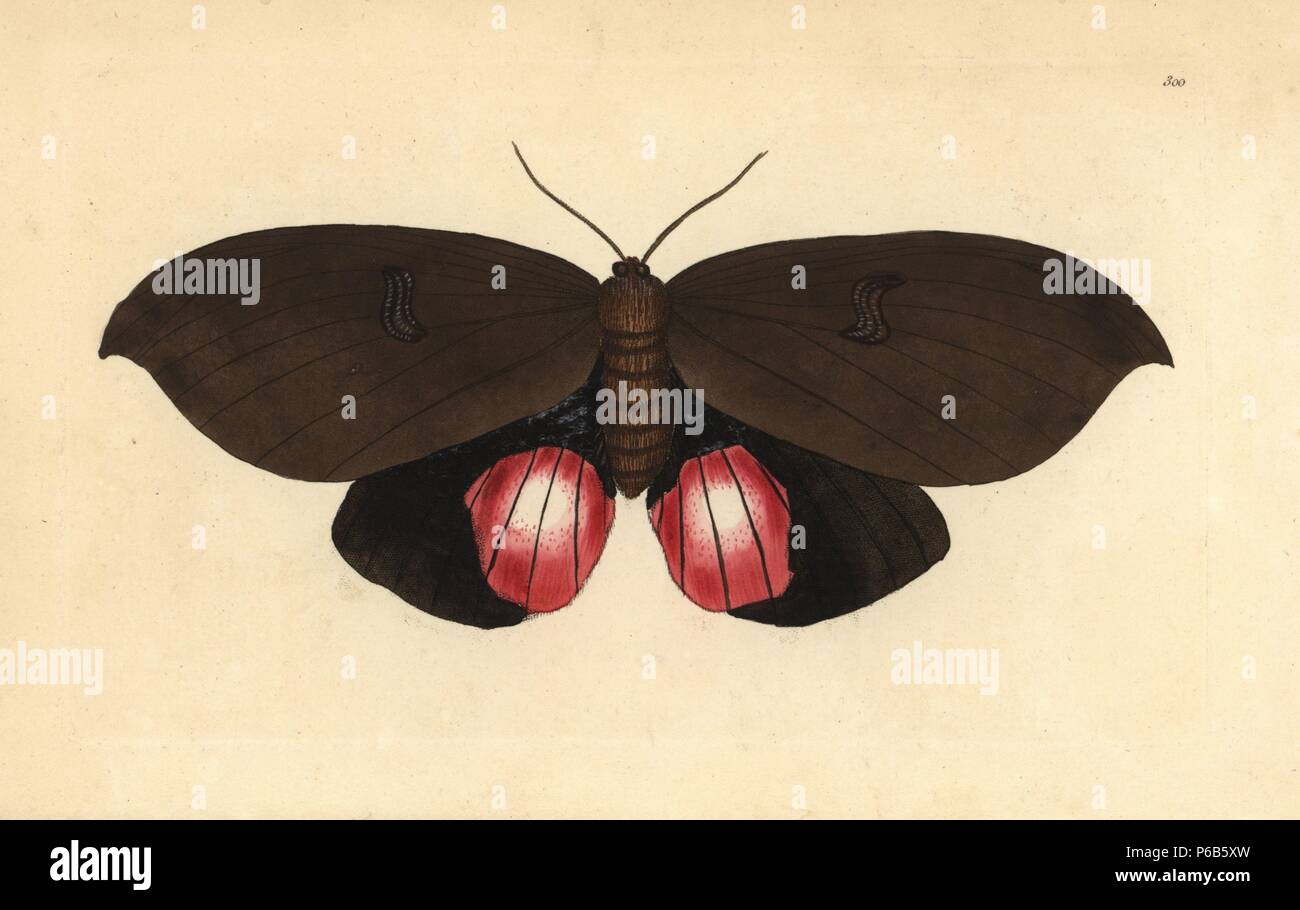 1 064 Stock Photos 1 064 Stock Images Page 7 Alamy