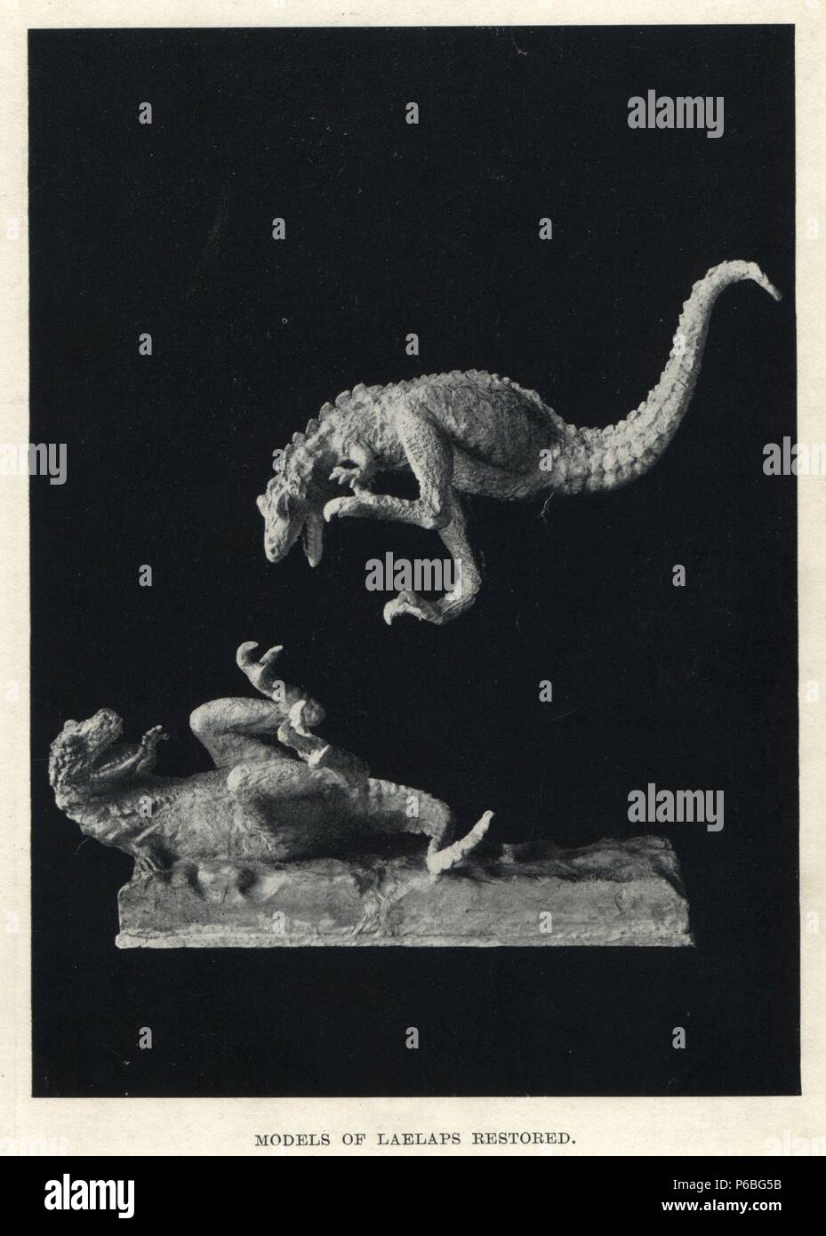 Models of fighting Laelaps, Dryptosaurus aquilunguis, based on Charles R. Knight's illustration. From H. N. Hutchinson's 'Extinct Monsters and Creatures of Other Days,' Chapman and Hall, London, 1897. Stock Photo