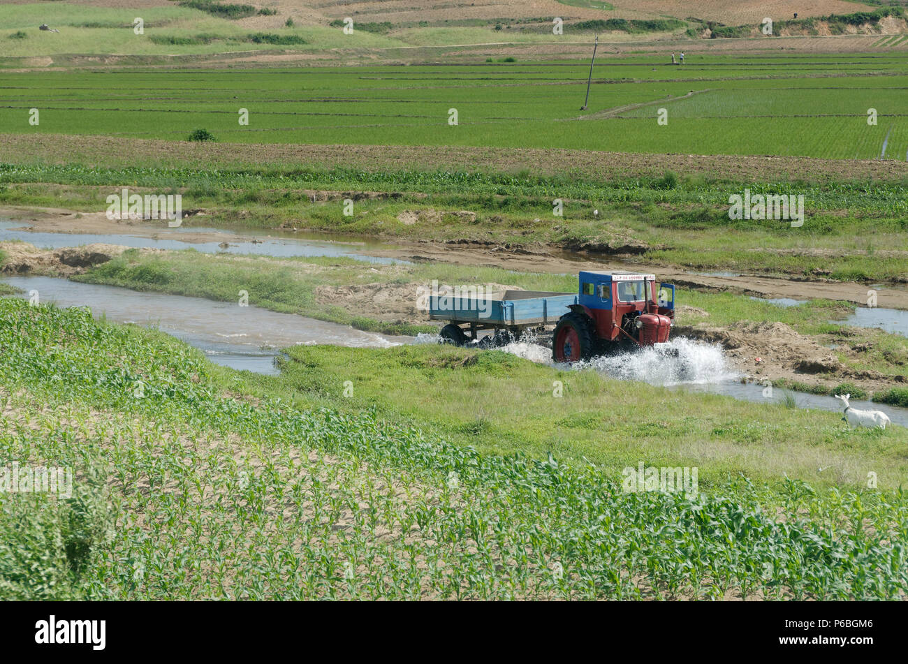 Tractor driving through an irrigation channel, pulling a load, raising a wave and splashing front, in North Korea DPRK Stock Photo