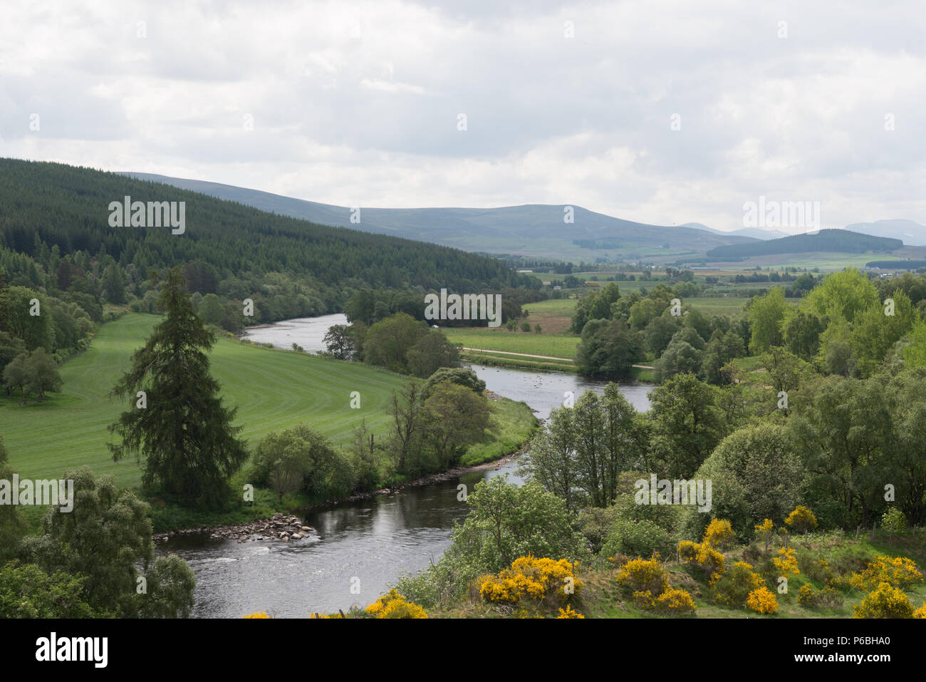 The river spey in Scotland near Grantown on Spey June Stock Photo Alamy