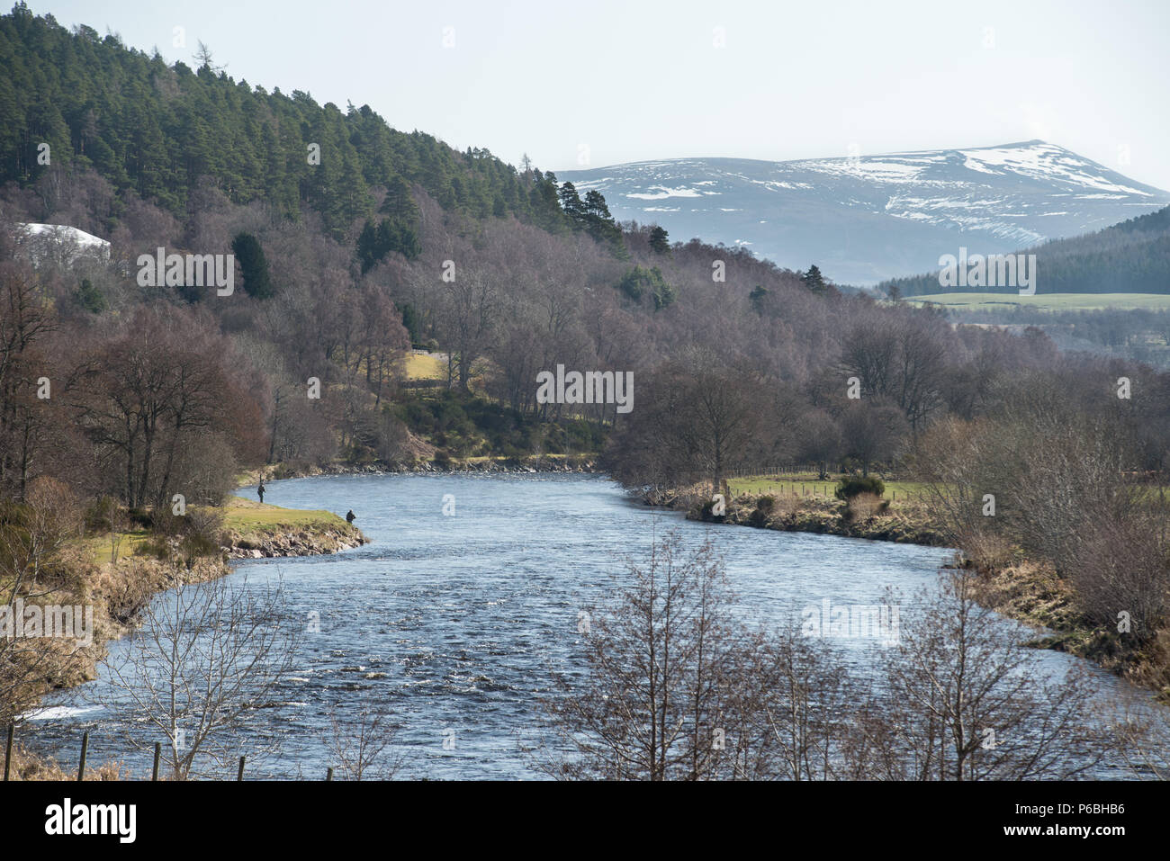 The river spey in Scotland near Grantown on Spey Stock Photo Alamy