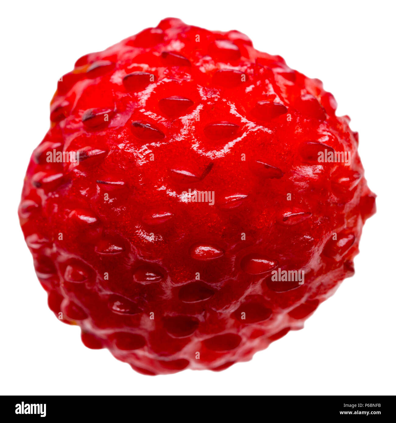 Wild strawberry isolated on white background, close up Stock Photo - Alamy