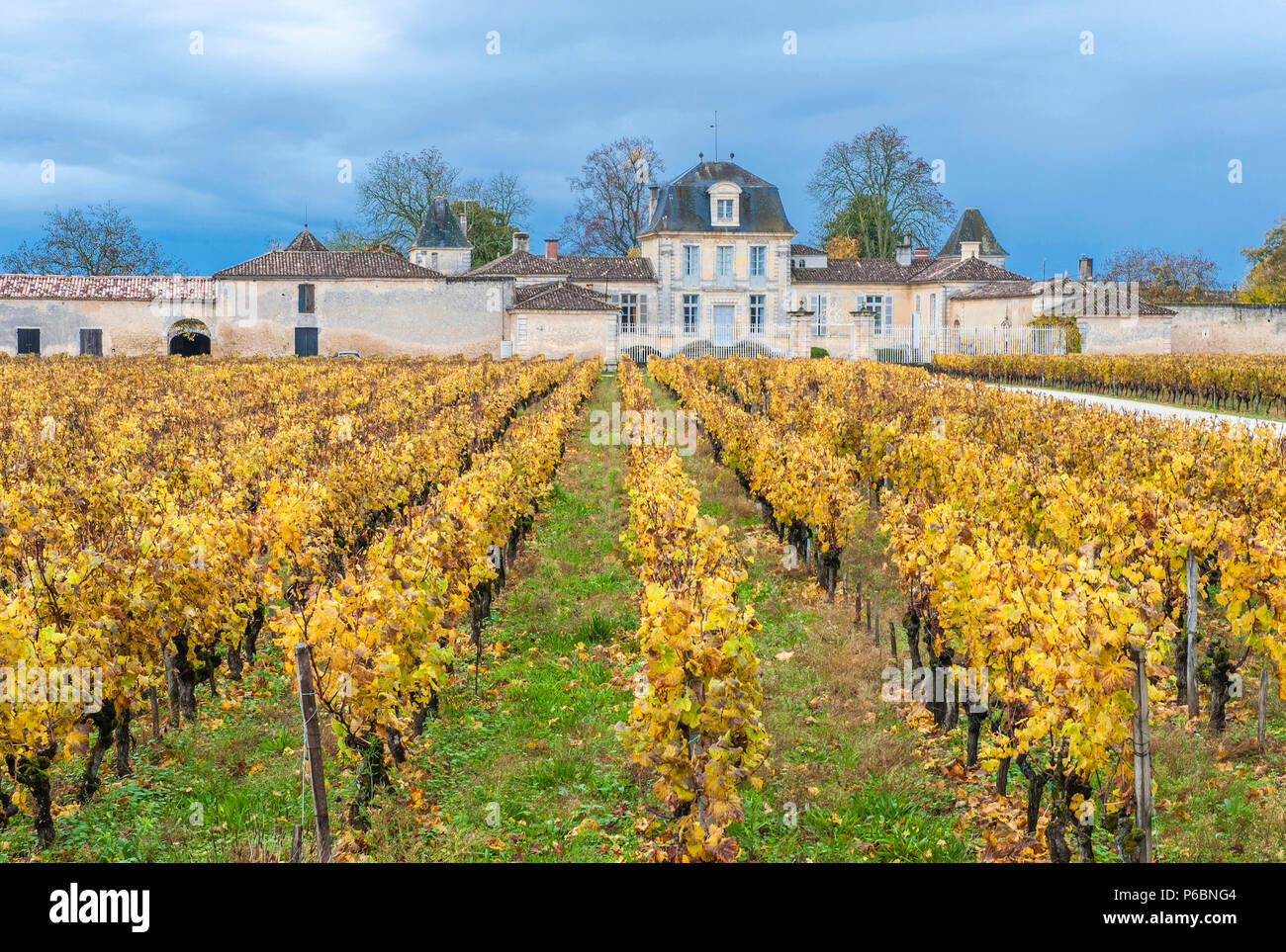 South West France, (PDO) Sauternes vineyard, vineyards row and chateau d'Armajan-des-Ormes, historical monument Stock Photo
