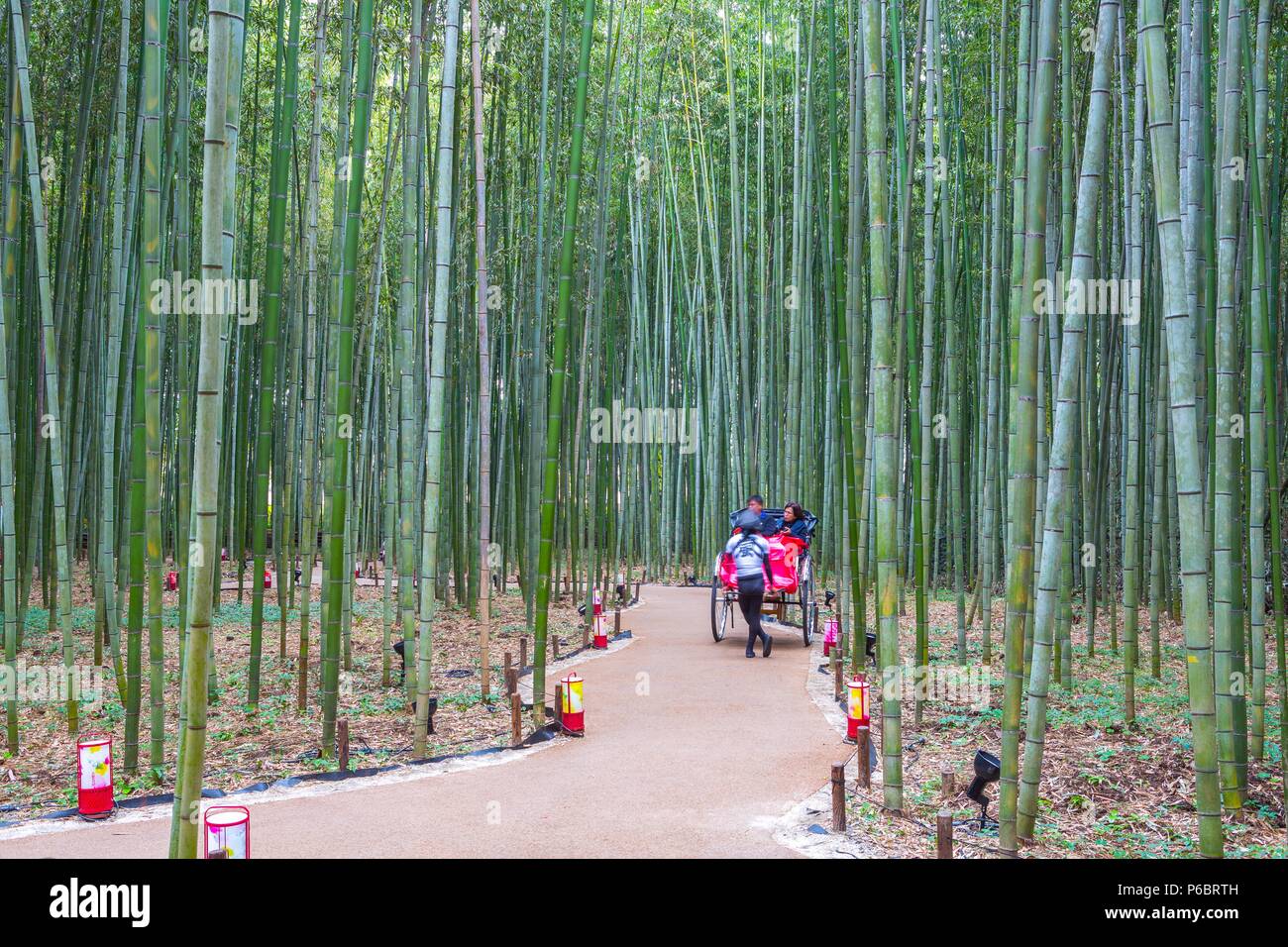 Japan, Kyoto City, Arashiyama Bambu Grove Stock Photo