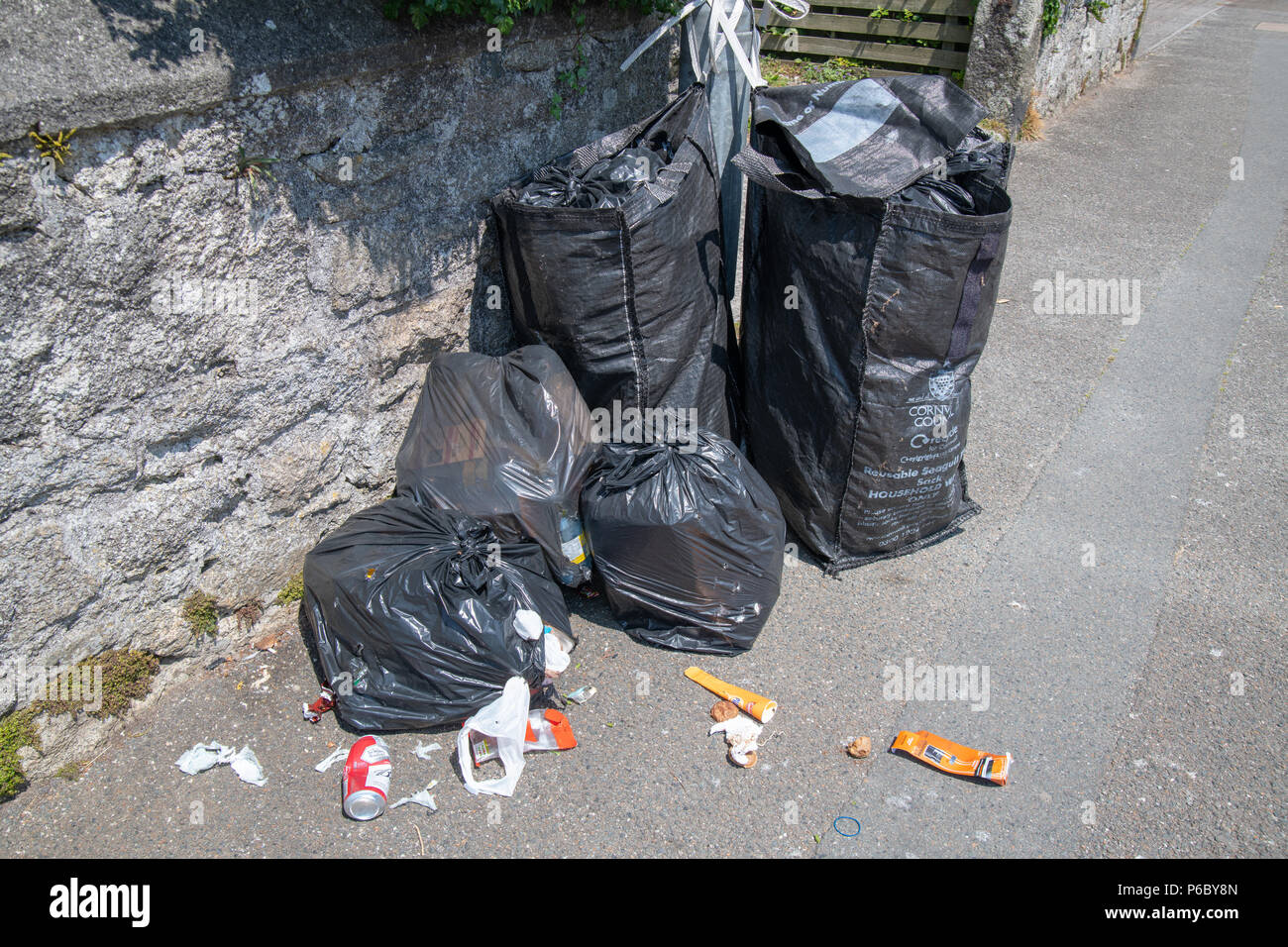 Gull Proof Sacks 2025