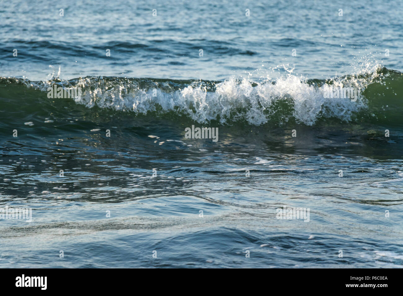 Little wave in the sea close Stock Photo