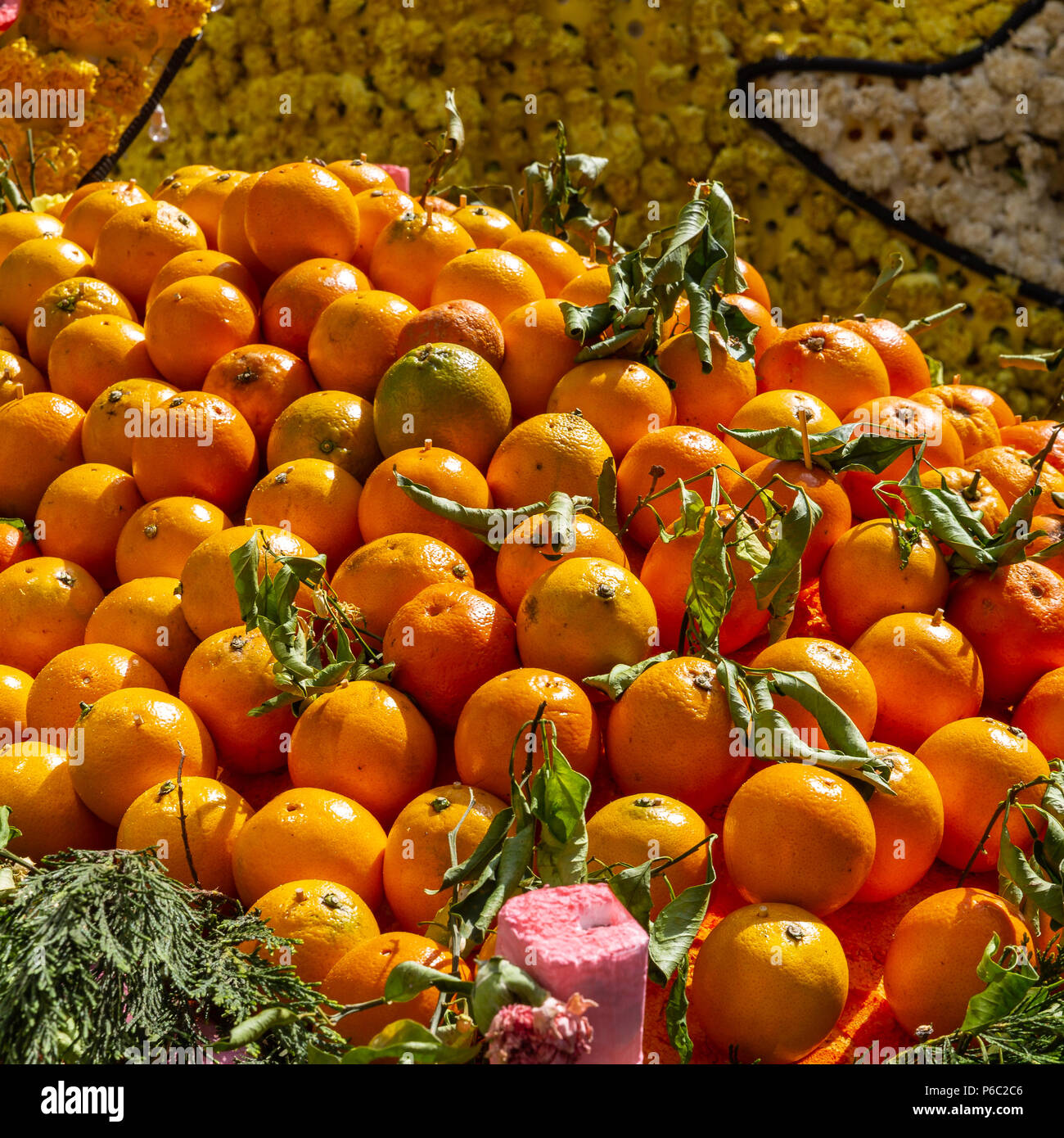 large basket of wonderful Sicilian oranges Stock Photo Alamy
