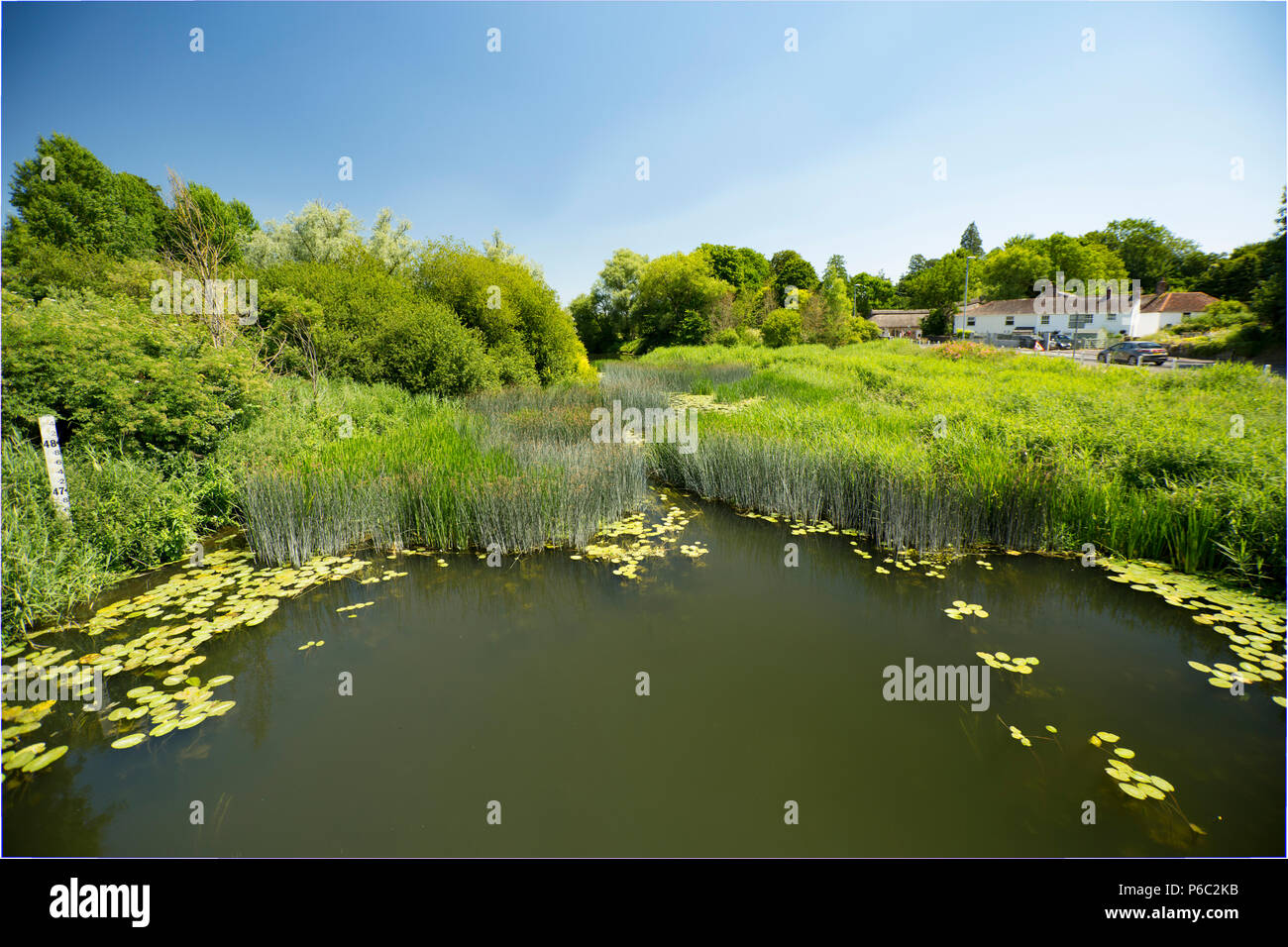 Silt-laden water rushing over a weir on the River Stour Blandford Dorset  England UK Stock Photo - Alamy