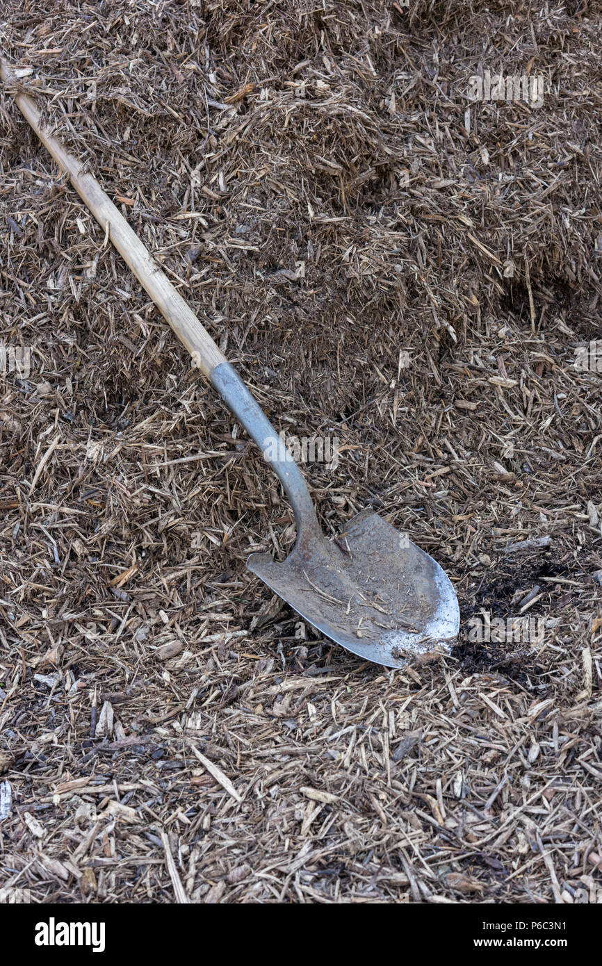 Shovel or spade in garden on earth background Stock Photo Alamy