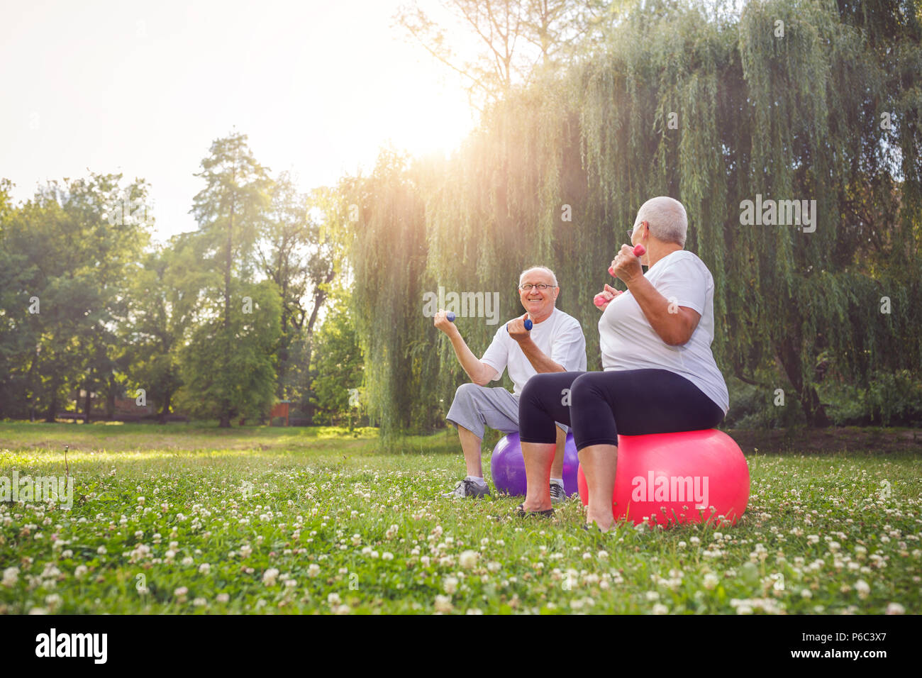 Smiling mature man and woman doing together fitness exercises on fitness ball in park Stock Photo