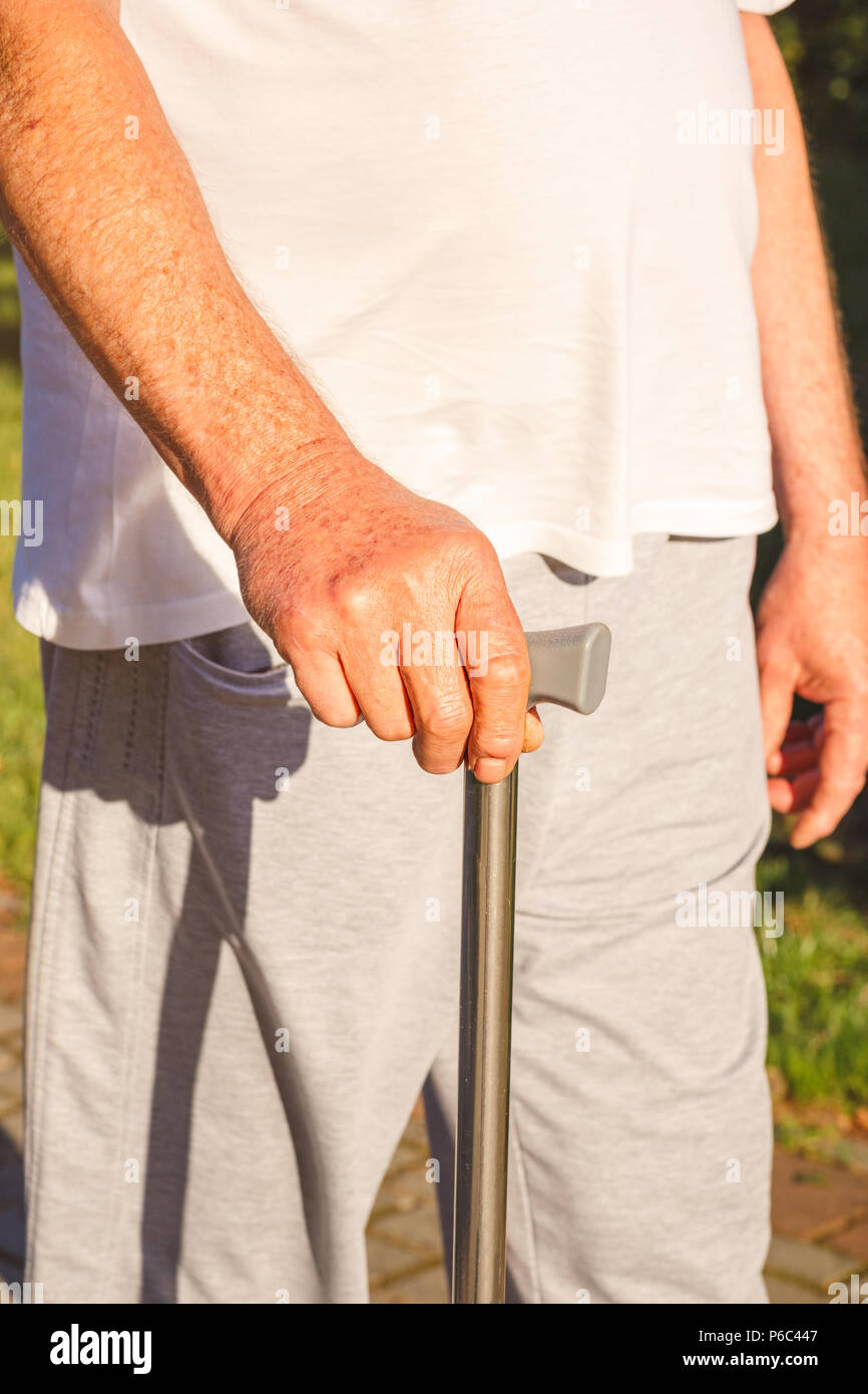 Close up of senior man hands holding stick in park Stock Photo