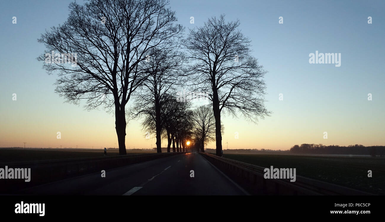 New Kaetwin, Germany - country road at sunset Stock Photo