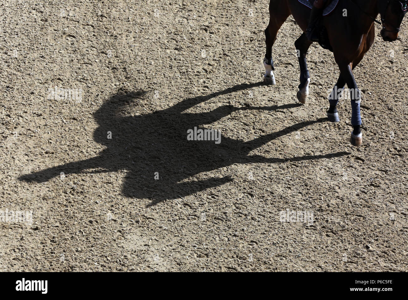 Doha, horse and rider cast a shadow on the ground Stock Photo
