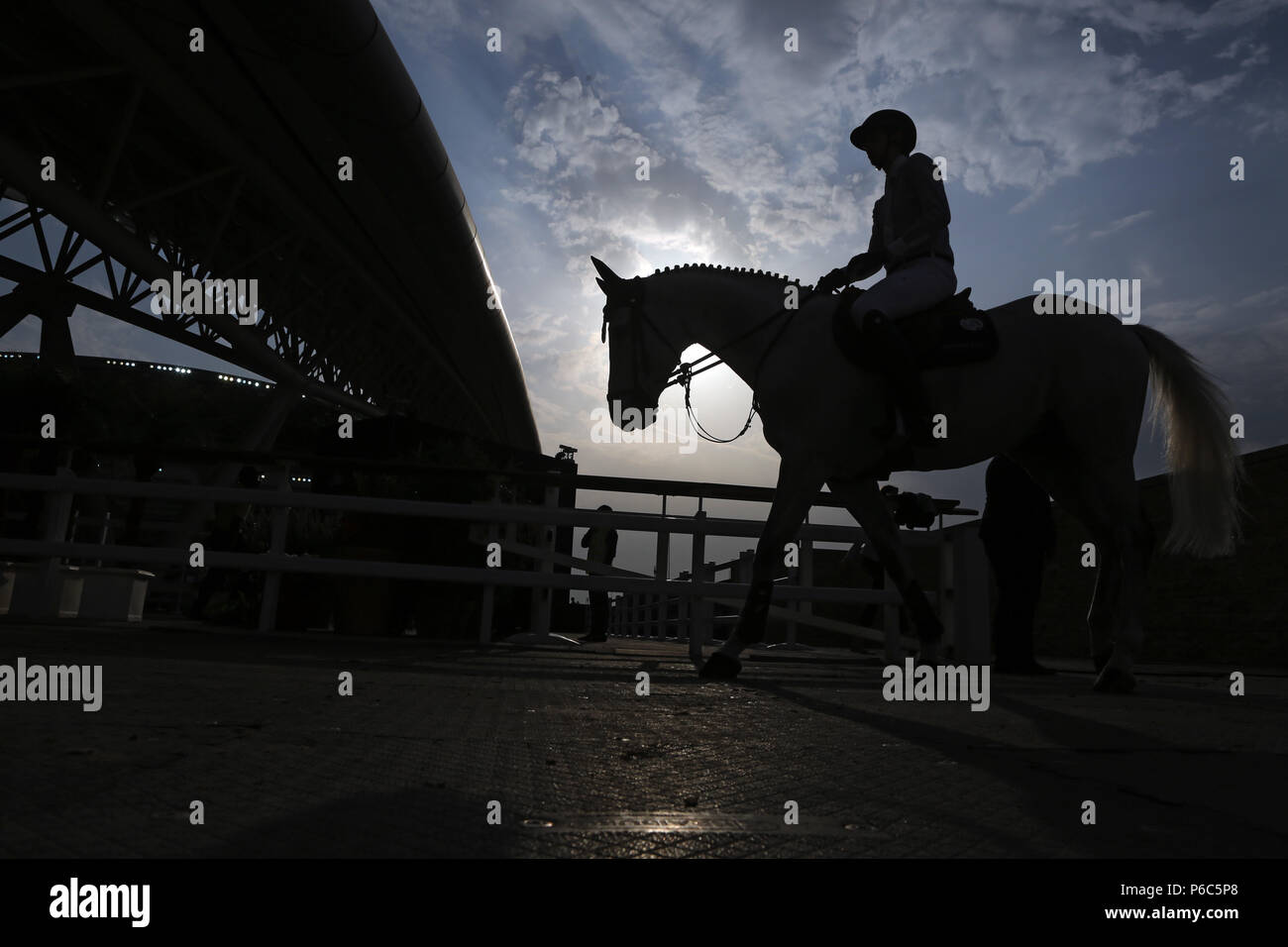 Doha, silhouette of horse and show jumper on entry into the riding track Stock Photo