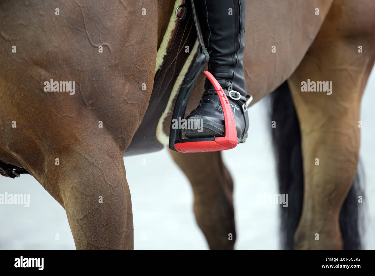 Doha, riding boots in a safety walker Stock Photo