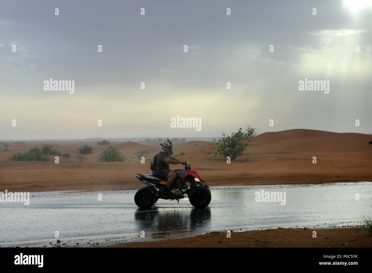 Dubai, United Arab Emirates, quad rider in the rain in the desert Stock Photo