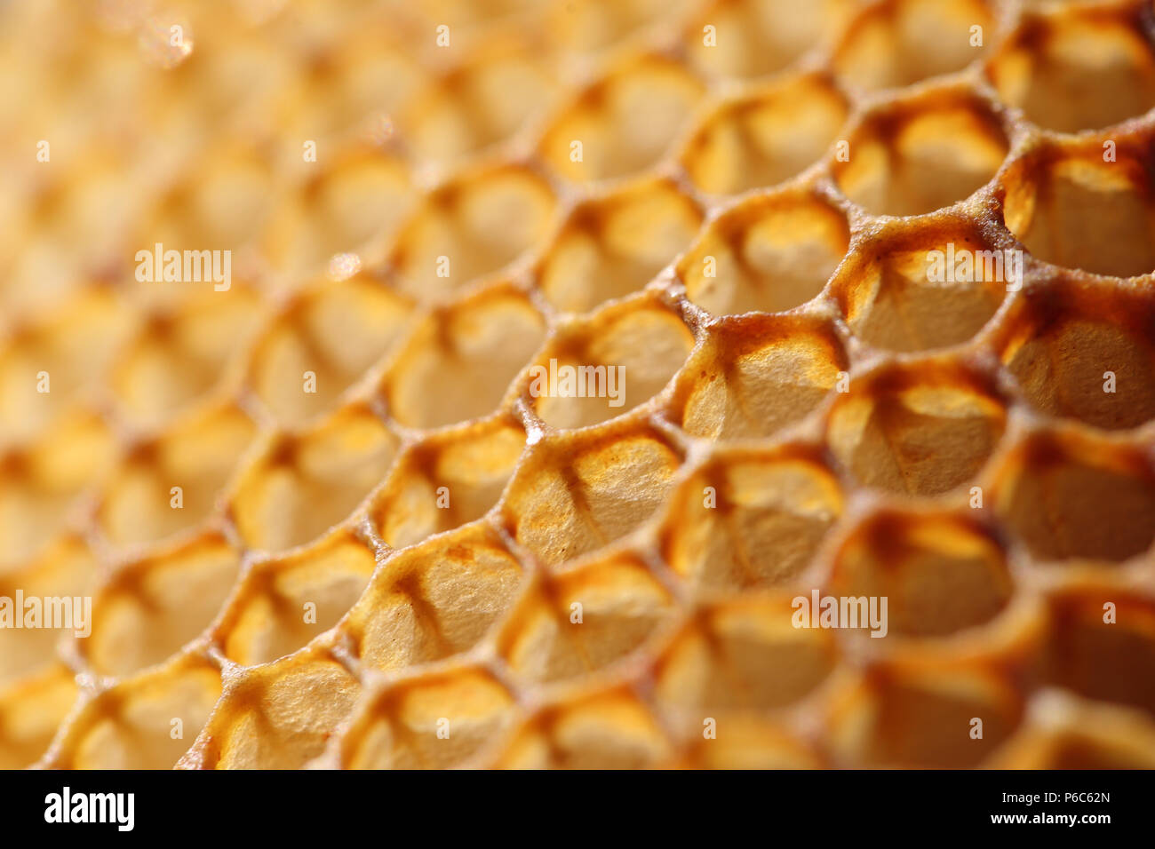 Berlin, Germany - Honeycomb trimmings of a honeycomb coated with propolis Stock Photo