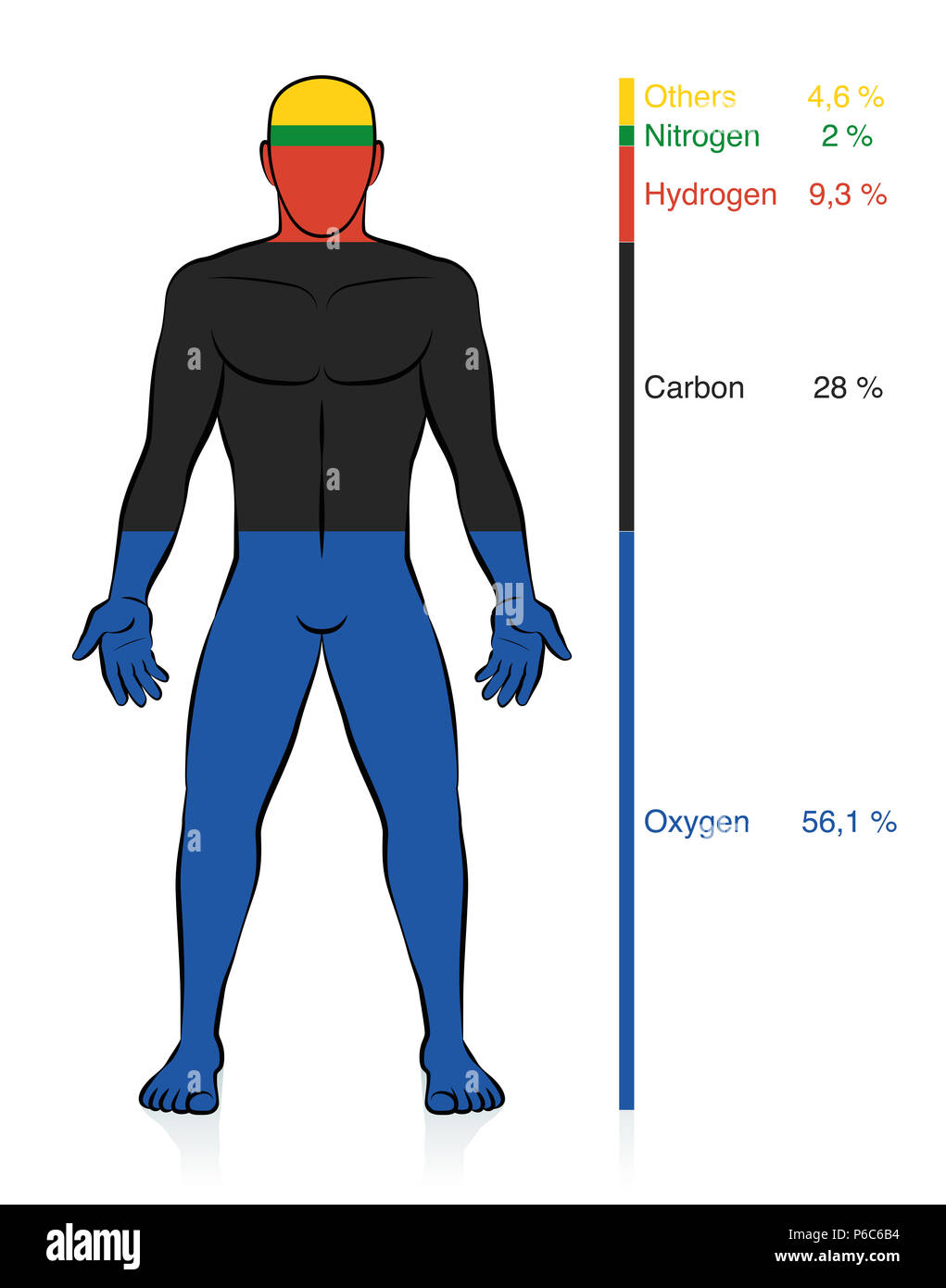 Chemical composition of the human body. Oxygen, carbon, hydrogen, and nitrogen, the basic organic chemical elements plus percent of mass information. Stock Photo