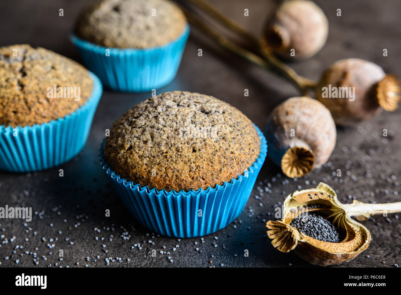 Homemade healthy muffins with poppy seeds Stock Photo Alamy