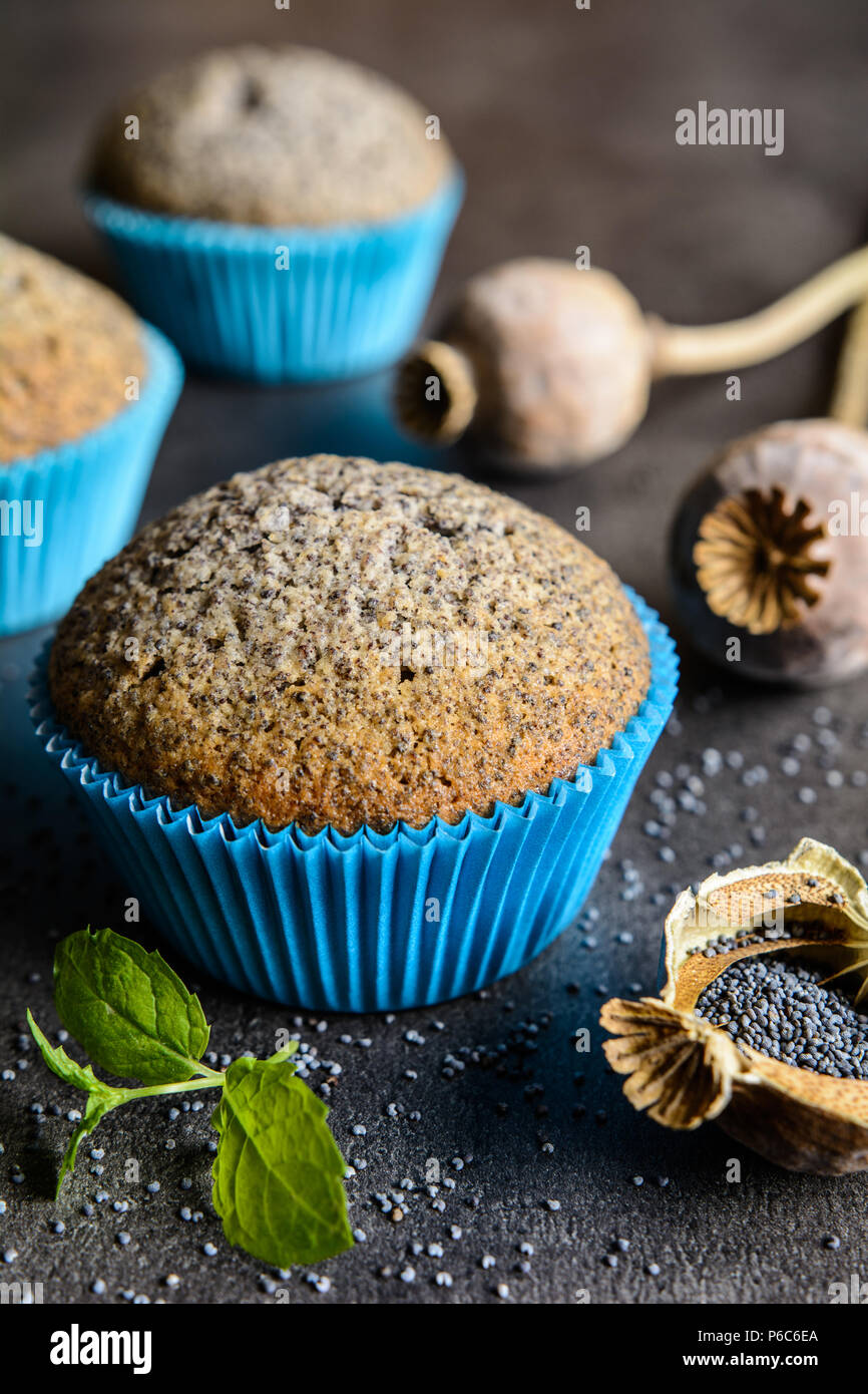 Homemade healthy muffins with poppy seeds Stock Photo Alamy