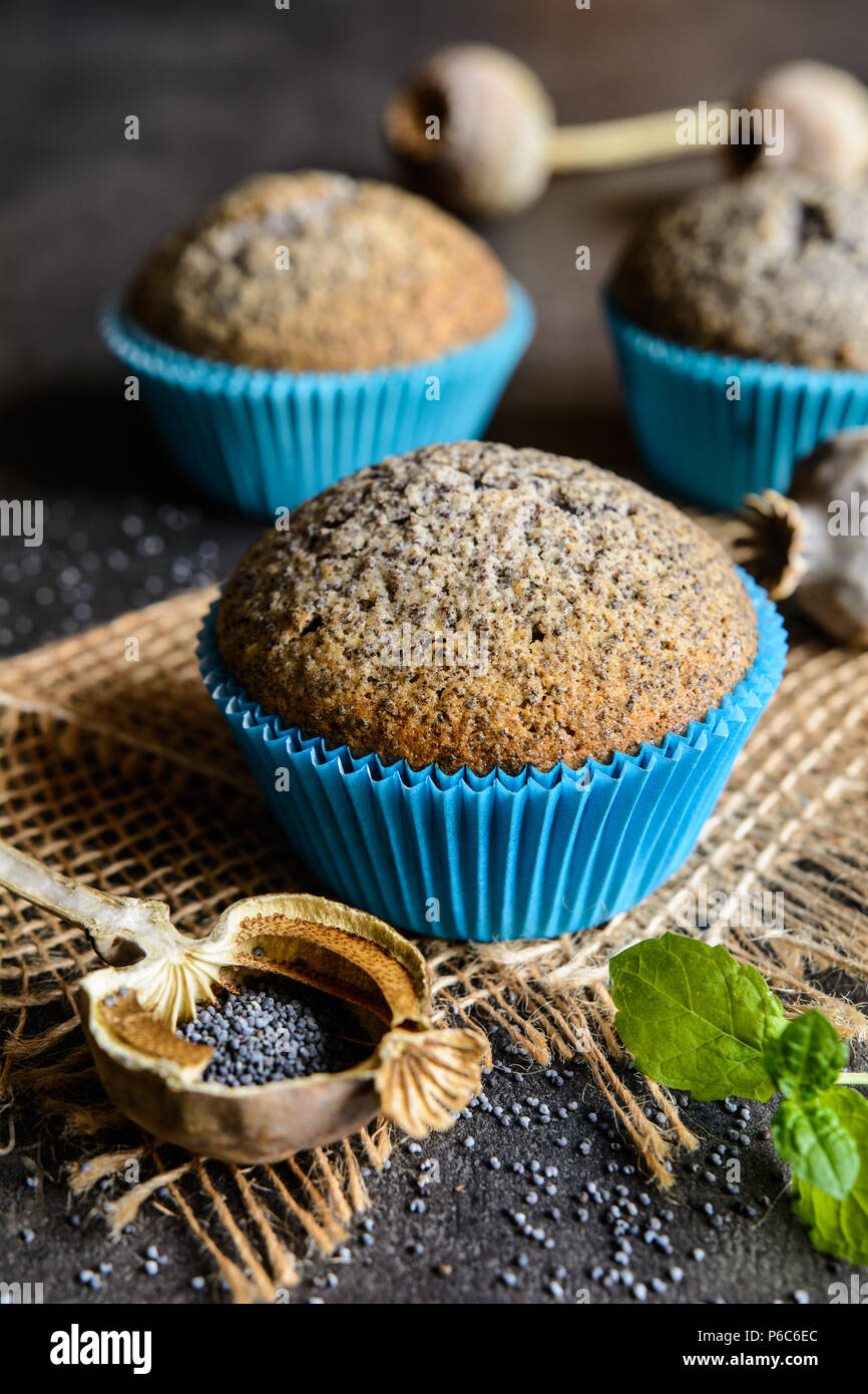 Homemade healthy muffins with poppy seeds Stock Photo Alamy
