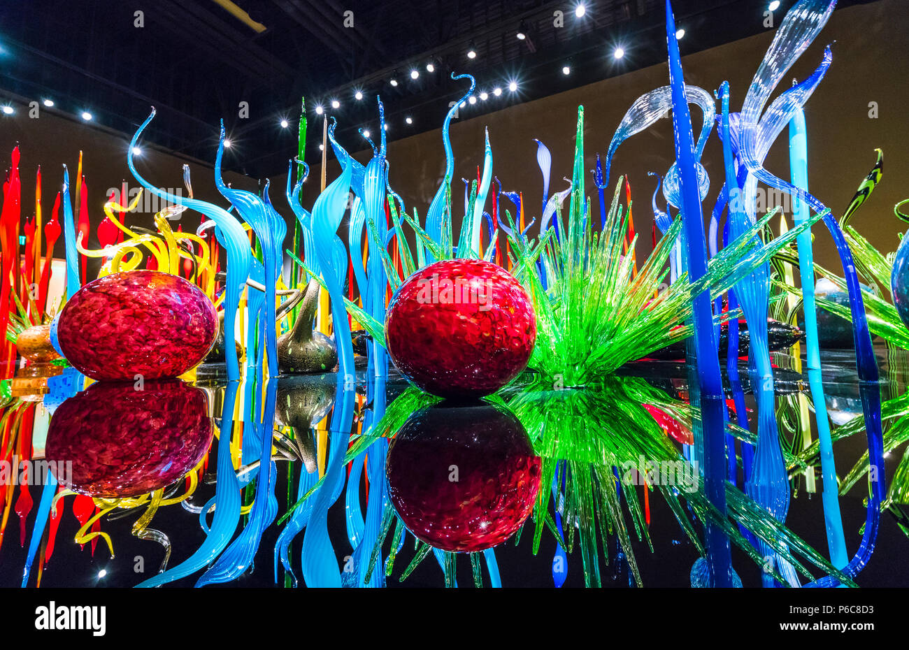 Jeg har en engelskundervisning Odysseus Tegnsætning SEATTLE - Apr 26, 2016: Blown glass in abstract shapes, Chihuly Garden and Glass  Museum, Seattle, Washington Stock Photo - Alamy