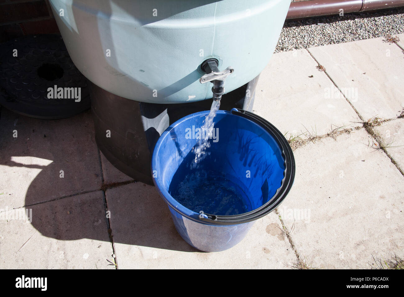Filling blue bucket  with rainwater from waterbutt to wash car during drought saving cost of metered water Stock Photo