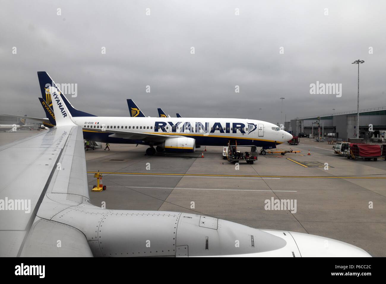 London, United Kingdom. Ryanair at Stansted Airport. Ryanair aeroplanes are loaded with passengers baggage by baggage handlers at Stansted Airport. Photo By Andrew Parsons/ Parsons Media Ltd Stock Photo