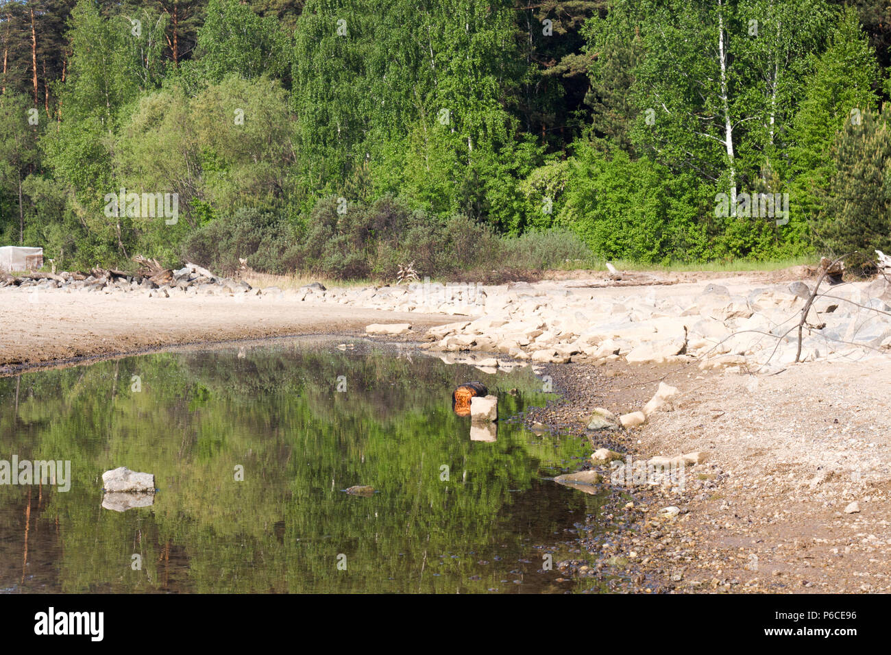 reflection of the forest in the water in sunny day nature landscape ...