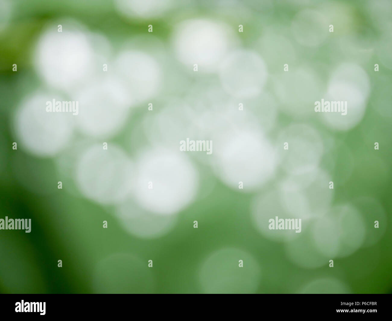 Bokeh circle hi-res stock photography and images - Alamy
