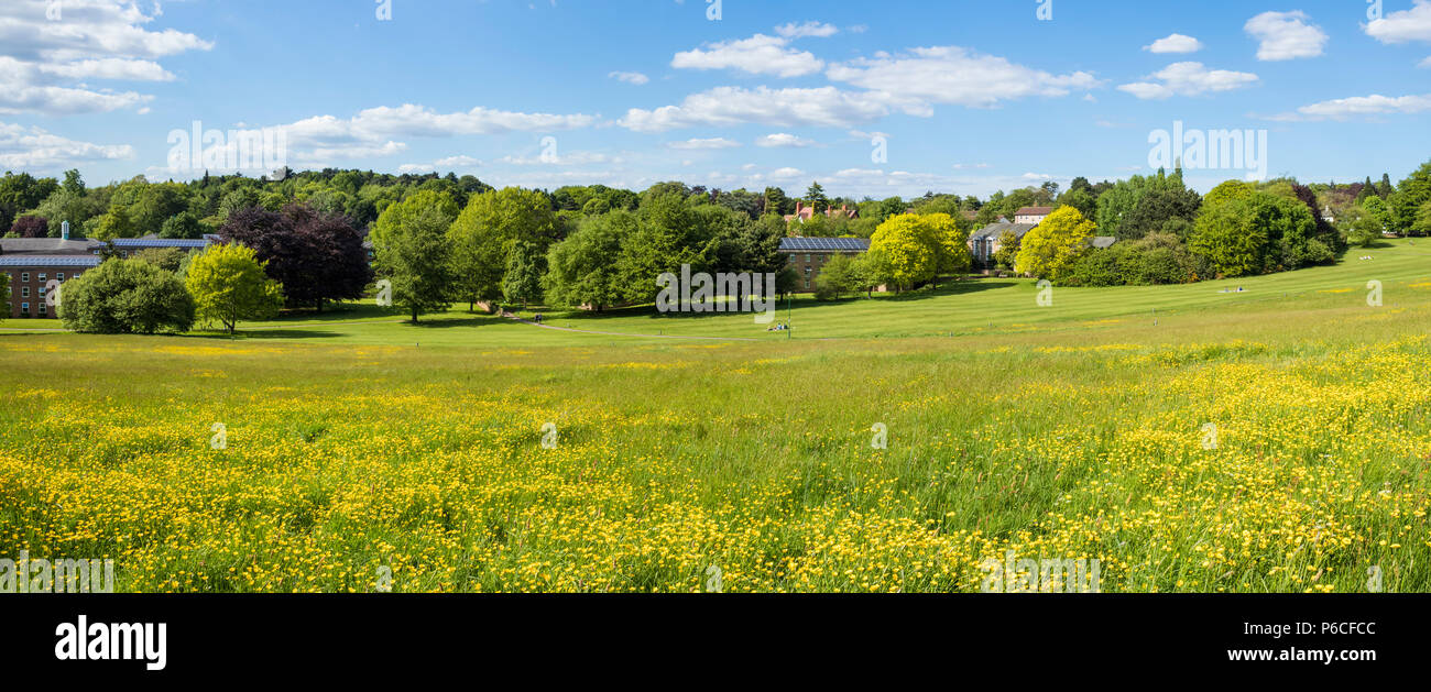 Derby Hall, Lincoln Hall, Student Halls of Residence Nottingham