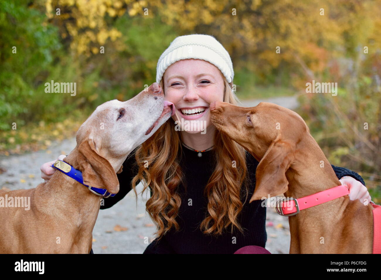 Why Do Dogs Like Licking Faces