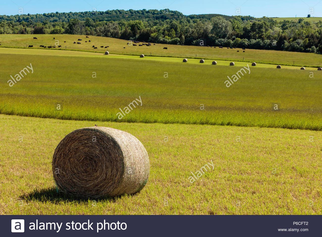 Round With Ridges High Resolution Stock Photography and Images - Alamy