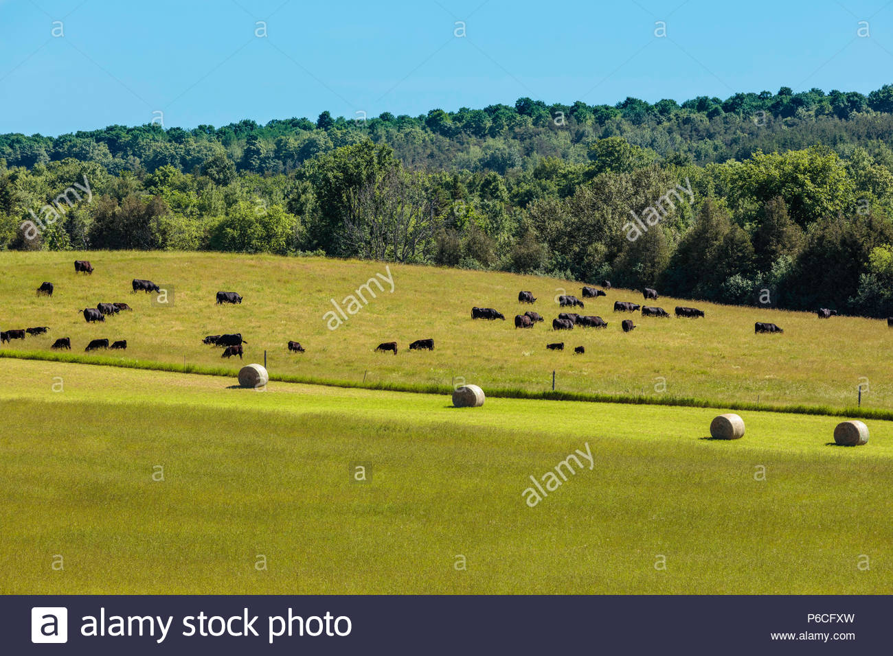 Round With Ridges High Resolution Stock Photography and Images - Alamy