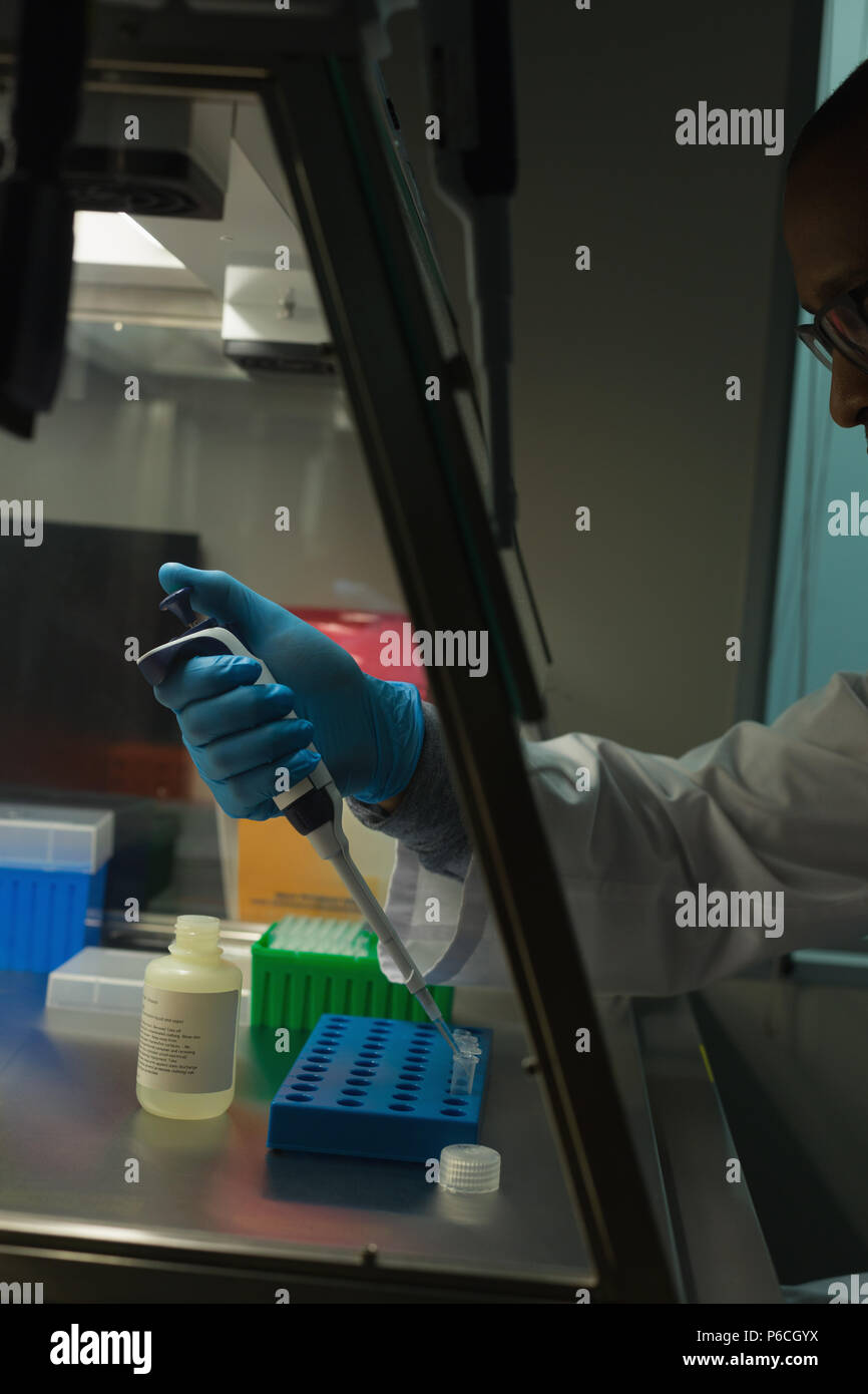 Scientist pipetting solution into the glass test tube Stock Photo