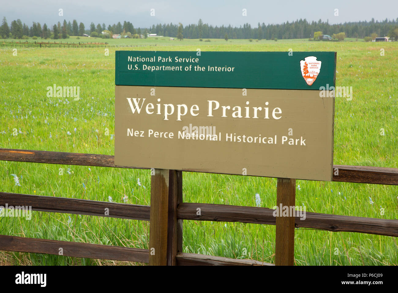 Weippe Prairie, Nez Perce National Historic Park, Gold Rush Historic Byway, Idaho Stock Photo