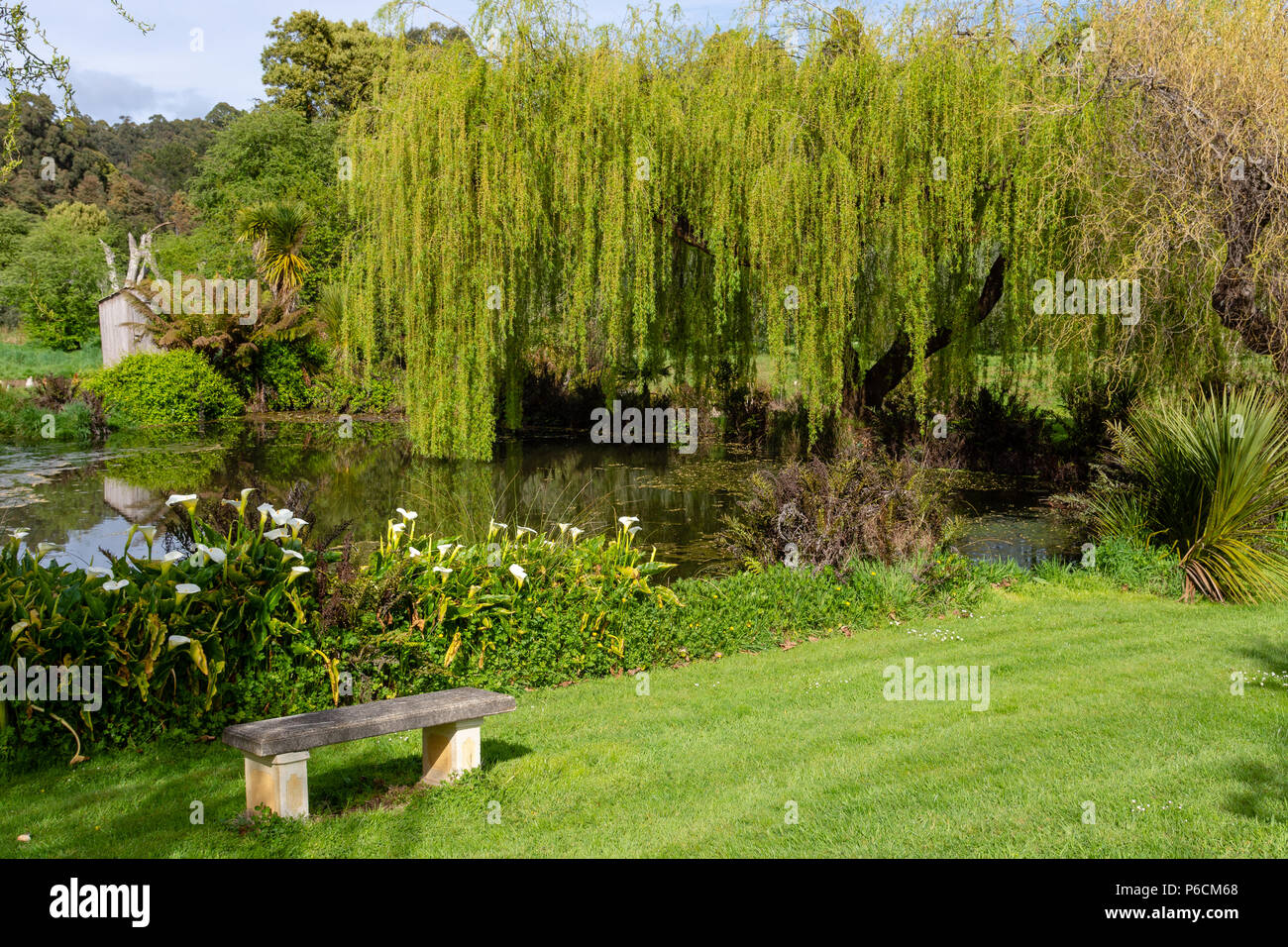 A Lake Scene - Tasmania - Australia Stock Photo