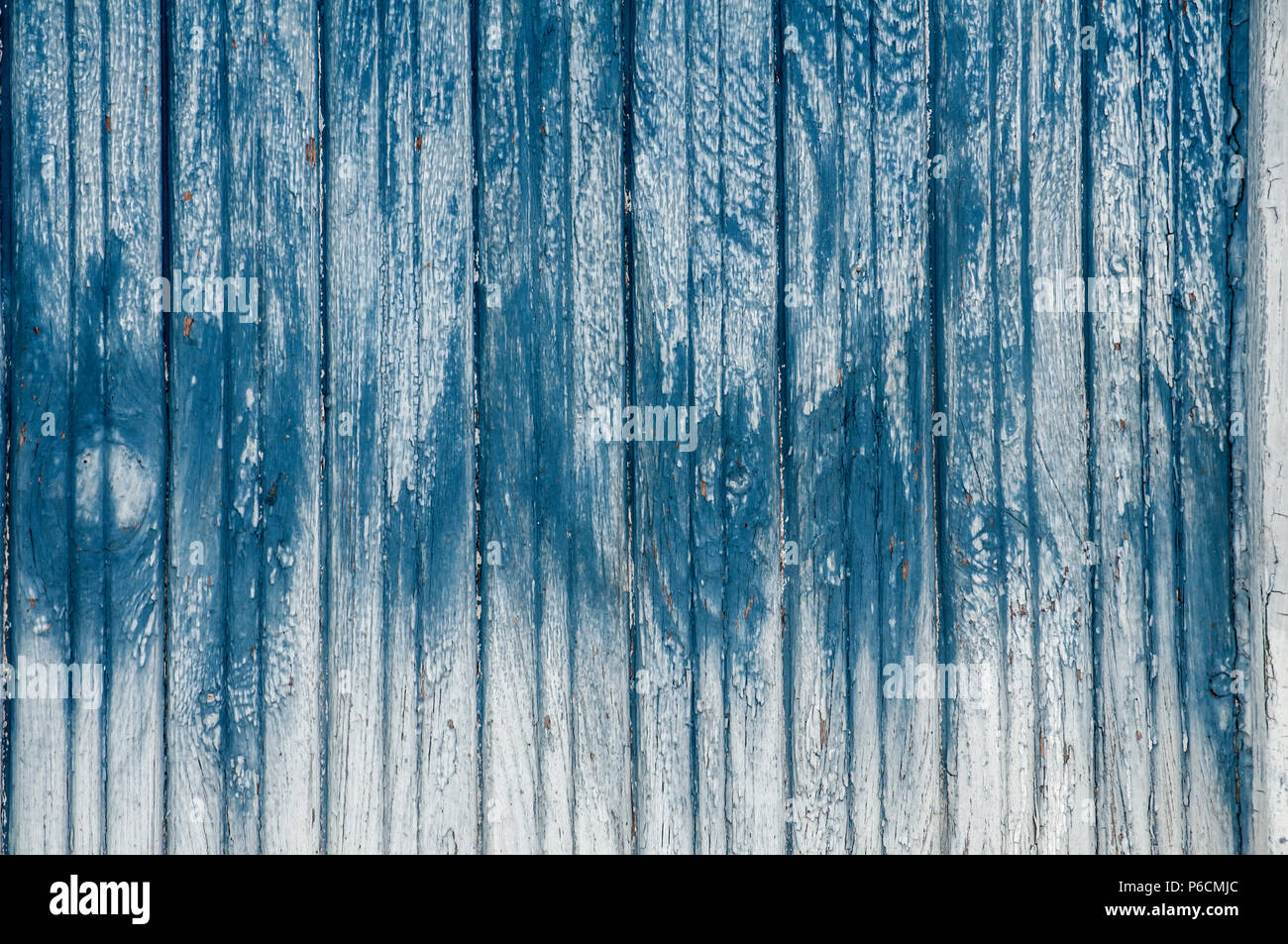 Old weathered grunge wooden faded pale blue paint board wall closeup as